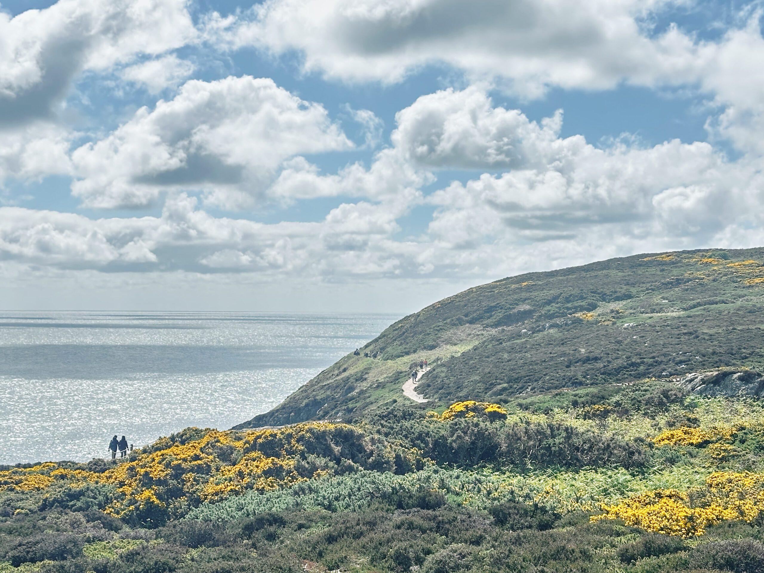 View of grassy cliffs overlooking the ocean